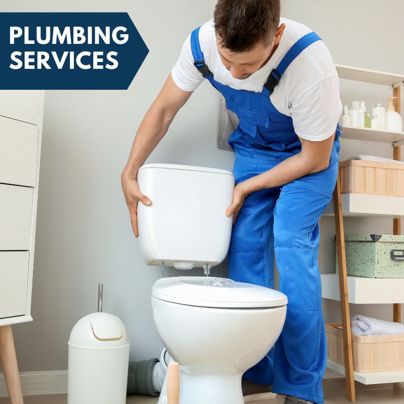 Plumbing Company in Breckenridge, MI